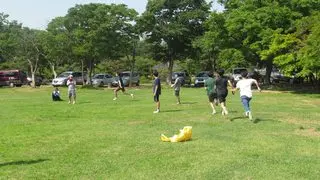 shRmQt6m.jpg