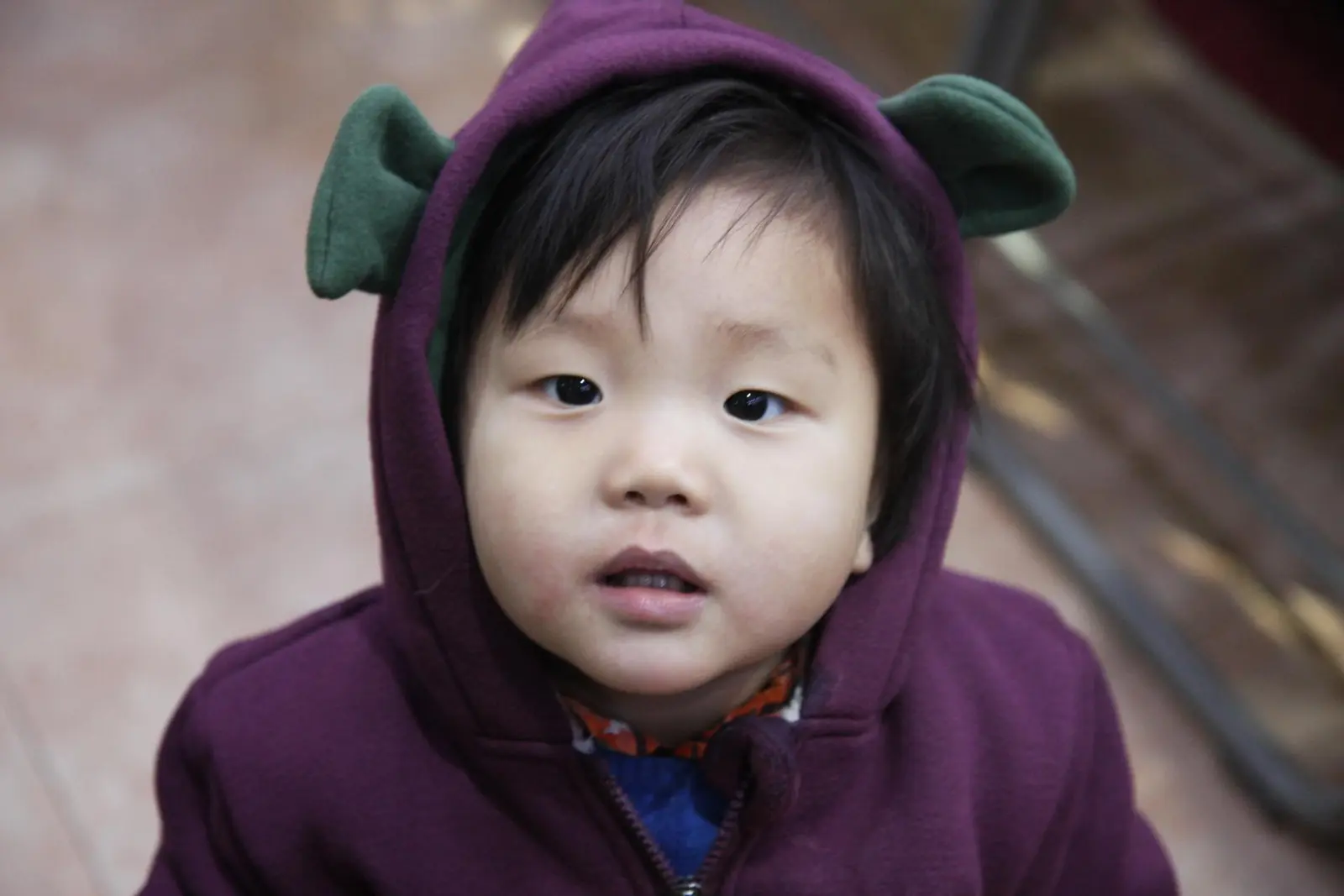3f88d56582efc.jpg