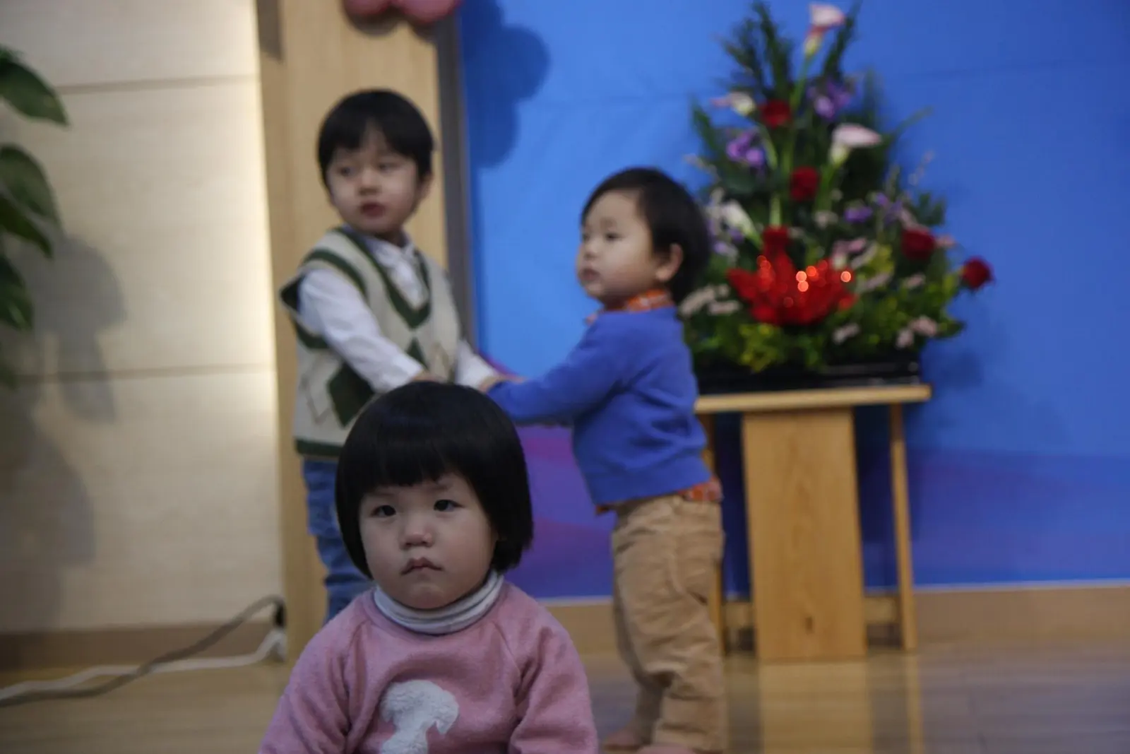 a6f53064e9725.jpg