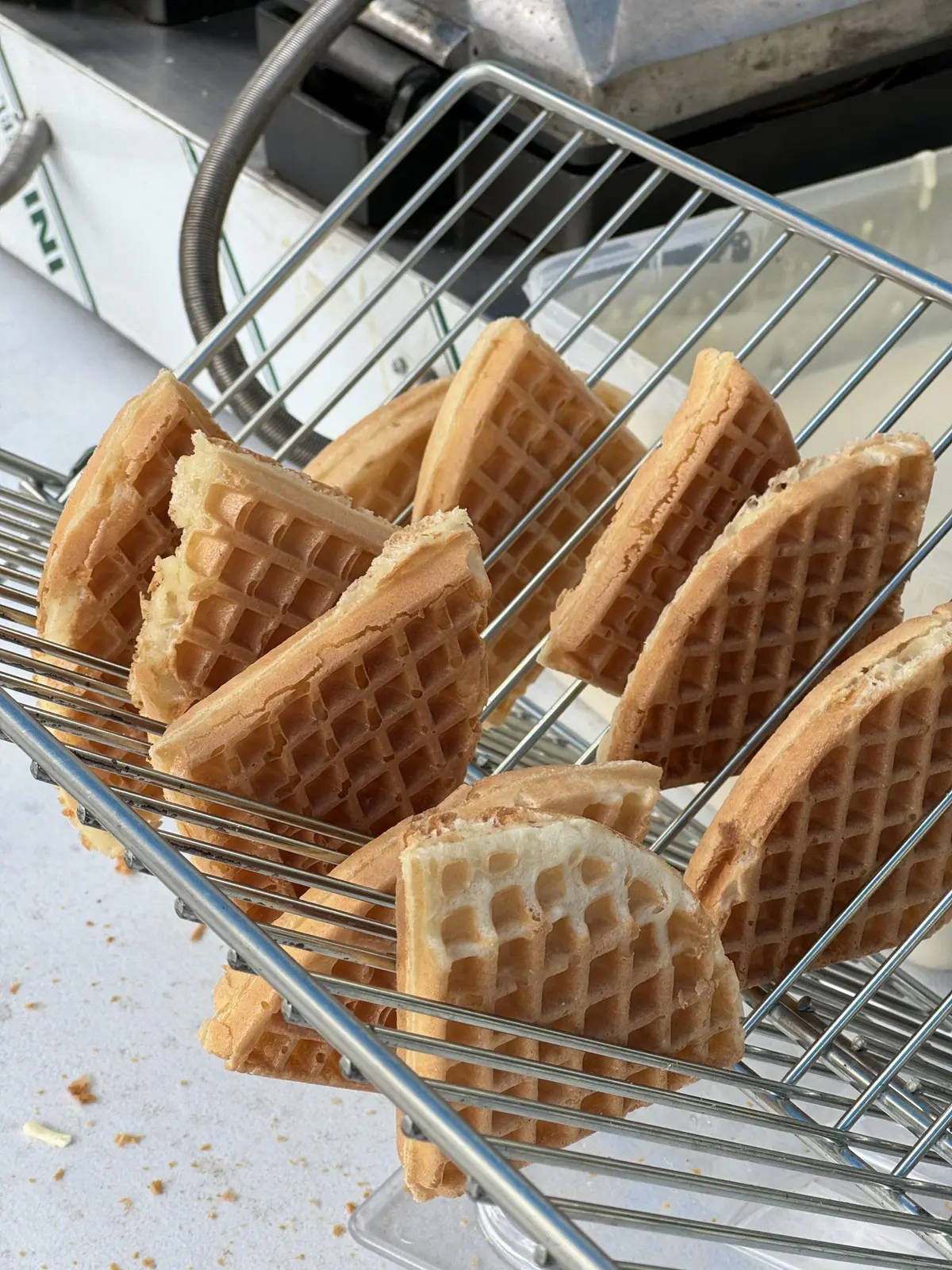 f9bee59352c87.jpg