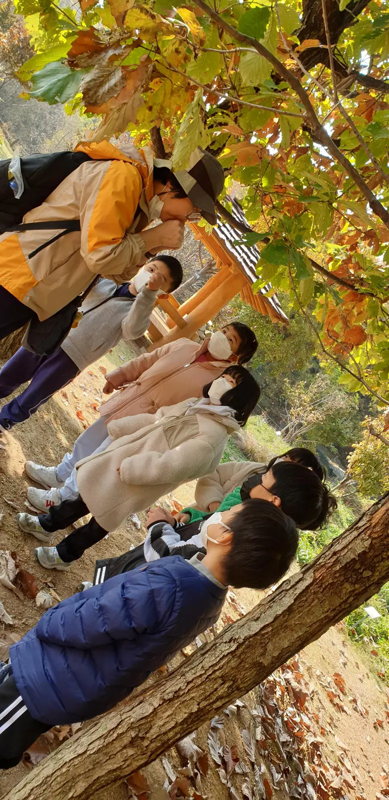 69eae083579da.jpg